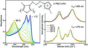 Graphical abstract: Salt-induced thermochromism of a conjugated polyelectrolyte