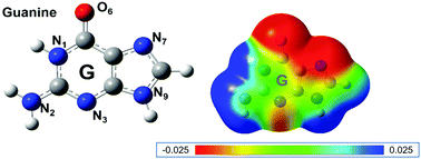 Graphical abstract: Theoretical study of gas and solvent phase stability and molecular adsorption of noncanonical guanine bases on graphene