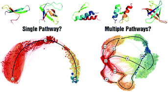 Graphical abstract: Toward a quantitative description of microscopic pathway heterogeneity in protein folding
