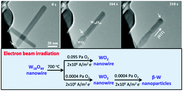 Graphical abstract: Atomic-scale observation of pressure-dependent reduction dynamics of W18O49 nanowires using environmental TEM