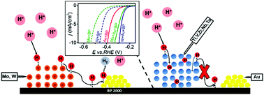 Graphical abstract: Investigating synergistic interactions of group 4, 5 and 6 metals with gold nanoparticles for the catalysis of the electrochemical hydrogen evolution reaction