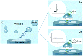 Graphical abstract: Electrochemistry of single droplets of inverse (water-in-oil) emulsions