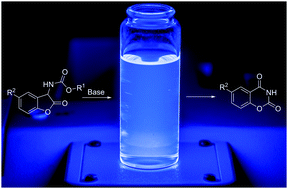 Graphical abstract: Mechanistic investigations of the 2-coumaranone chemiluminescence