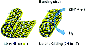 Graphical abstract: Highly efficient hydrogen evolution reaction by strain and phase engineering in composites of Pt and MoS2 nano-scrolls