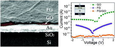 Graphical abstract: Two-layer and composite films based on oxidized and fluorinated graphene