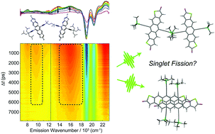 Graphical abstract: Photophysical characterization and time-resolved spectroscopy of a anthradithiophene dimer: exploring the role of conformation in singlet fission