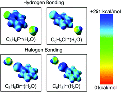 Graphical abstract: Gas phase hydration of halogenated benzene cations. Is it hydrogen or halogen bonding?