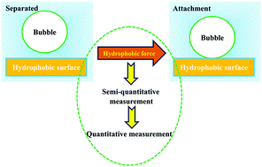 Graphical abstract: The hydrophobic force for bubble–particle attachment in flotation – a brief review
