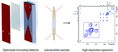Graphical abstract: High-resolution microstrip NMR detectors for subnanoliter samples