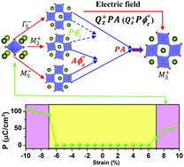Graphical abstract: Strain-induced ferroelectricity and lattice coupling in BaSnO3 and SrSnO3