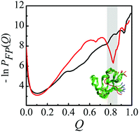 Graphical abstract: The low populated folding intermediate of a mutant of the Fyn SH3 domain identified by a simple model