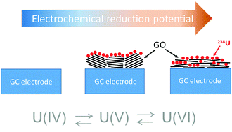 Graphical abstract: Increase in the reduction potential of uranyl upon interaction with graphene oxide surfaces