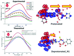 Graphical abstract: Augmented pH-sensitivity absorbance of a ruthenium(ii) bis(bipyridine) complex with elongation of the conjugated ligands: an experimental and theoretical investigation