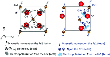 Graphical abstract: Weak ferromagnetic ordering in brownmillerite Ca2Fe2O5 and its effect on electric field gradients
