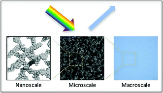 Graphical abstract: Thermally reversible nanoparticle gels with tuneable porosity showing structural colour