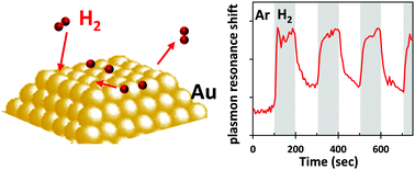 Graphical abstract: Mechanism of hydrogen adsorption on gold nanoparticles and charge transfer probed by anisotropic surface plasmon resonance