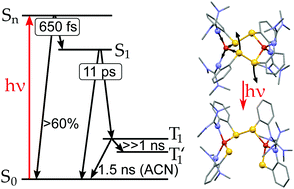 Graphical abstract: Structural dynamics upon photoexcitation-induced charge transfer in a dicopper(i)–disulfide complex