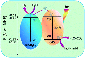 Graphical abstract: Developing an efficient NiCo2S4 cocatalyst for improving the visible light H2 evolution performance of CdS nanoparticles