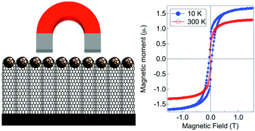 Graphical abstract: Stable Fe nanomagnets encapsulated inside vertically-aligned carbon nanotubes