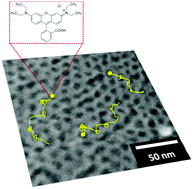 Graphical abstract: Diffusion of single dye molecules in hydrated TiO2 mesoporous films