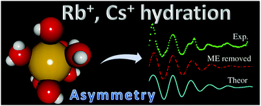 Graphical abstract: The hydration structure of the heavy-alkalines Rb+ and Cs+ through molecular dynamics and X-ray absorption spectroscopy: surface clusters and eccentricity