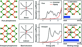 Graphical abstract: Robust indirect band gap and anisotropy of optical absorption in B-doped phosphorene