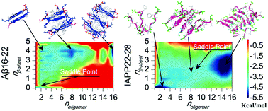 Graphical abstract: Distinct oligomerization and fibrillization dynamics of amyloid core sequences of amyloid-beta and islet amyloid polypeptide