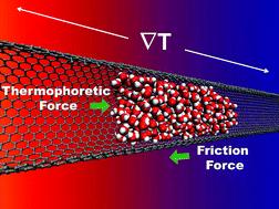 Graphical abstract: Water thermophoresis in carbon nanotubes: the interplay between thermophoretic and friction forces