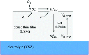 Graphical abstract: Modeling of the oxygen reduction reaction for dense LSM thin films