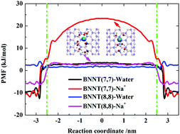 Graphical abstract: Computer simulation of water desalination through boron nitride nanotubes