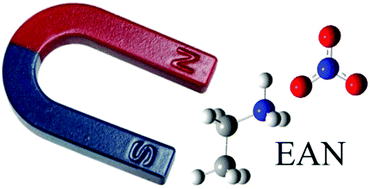 Graphical abstract: Magnetic field effects dynamics of ethylammonium nitrate ionic liquid confined between glass plates