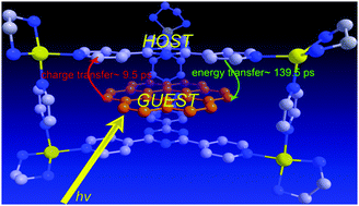 Graphical abstract: Unveiling excited state energy transfer and charge transfer in a host/guest coordination cage