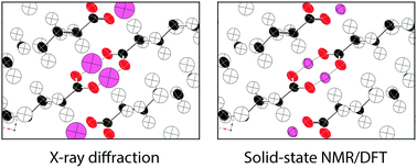 Graphical abstract: Predicting anisotropic thermal displacements for hydrogens from solid-state NMR: a study on hydrogen bonding in polymorphs of palmitic acid