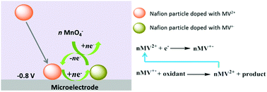 Graphical abstract: Nafion particles doped with methyl viologen: electrochemistry
