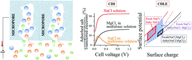 Graphical abstract: Multiionic effects on the capacitance of porous electrodes