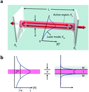 Graphical abstract: Plasmon lasers: coherent nanoscopic light sources