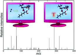 Graphical abstract: Chemical dynamics simulations of CID of peptide ions: comparisons between TIK(H+)2 and TLK(H+)2 fragmentation dynamics, and with thermal simulations