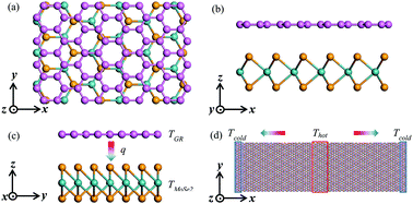 Graphical abstract: Phonon thermal transport in a graphene/MoSe2 van der Waals heterobilayer