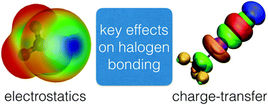 Graphical abstract: Characterizing the interplay of Pauli repulsion, electrostatics, dispersion and charge transfer in halogen bonding with energy decomposition analysis