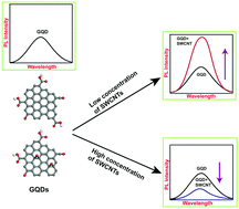 Graphical abstract: Anomalous fluorescence enhancement and fluorescence quenching of graphene quantum dots by single walled carbon nanotubes