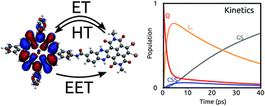 Graphical abstract: Electron and excitation energy transfers in covalently linked donor–acceptor dyads: mechanisms and dynamics revealed using quantum chemistry
