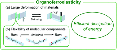 Graphical abstract: An organoferroelasticity driven by molecular conformational change