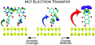 Graphical abstract: Dependence of hot electron transfer on surface coverage and adsorbate species at semiconductor–molecule interfaces