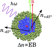 Graphical abstract: A QM/MM and QM/QM/MM study of Kerr, Cotton–Mouton and Jones linear birefringences in liquid acetonitrile