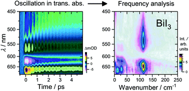 Graphical abstract: Pronounced exciton and coherent phonon dynamics in BiI3