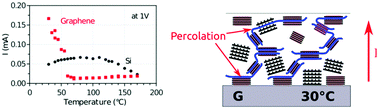 Graphical abstract: Graphene induced electrical percolation enables more efficient charge transport at a hybrid organic semiconductor/graphene interface