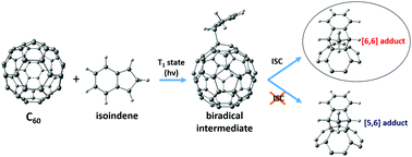 Graphical abstract: On the regioselectivity of the Diels–Alder cycloaddition to C60 in high spin states