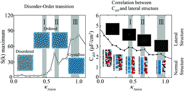 Graphical abstract: Charge driven lateral structural evolution of ions in electric double layer capacitors strongly correlates with differential capacitance