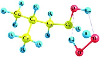 Graphical abstract: Reaction kinetics of hydrogen atom abstraction from isopentanol by the H atom and HO2˙ radical