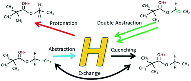 Graphical abstract: Promiscuous hydrogen in polymerising plasmas